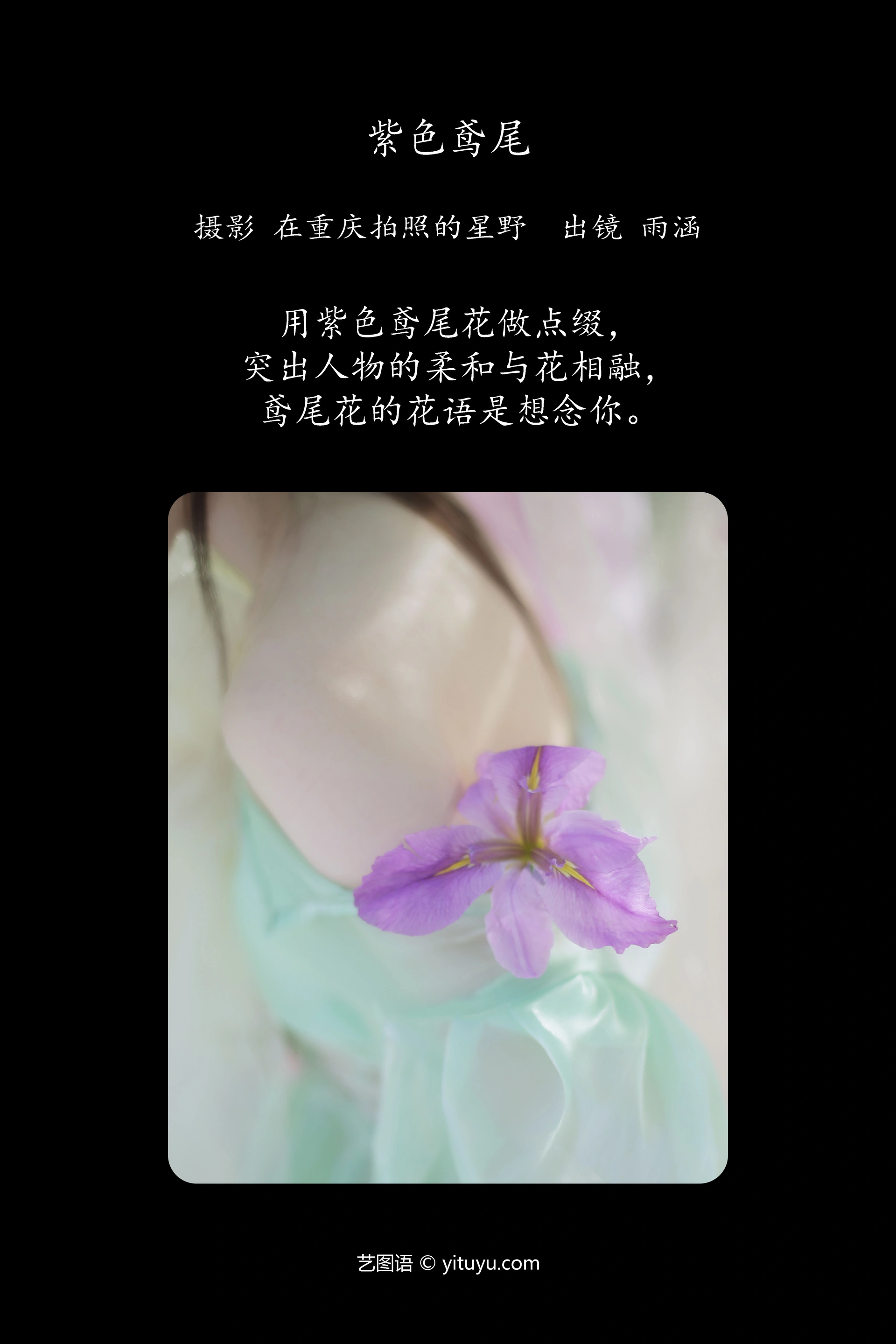 [YITUYU艺图语]2023.10.20 紫色鸢尾 酥香兔肉 1